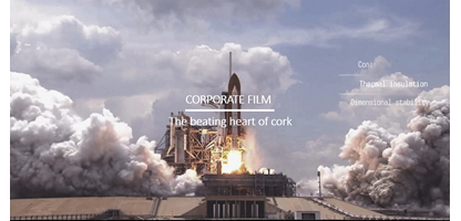 corporatevideo